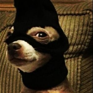 Meet your Posher, James